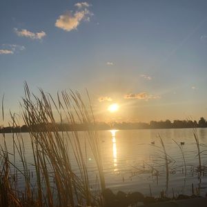 Meet your Posher, Darryl